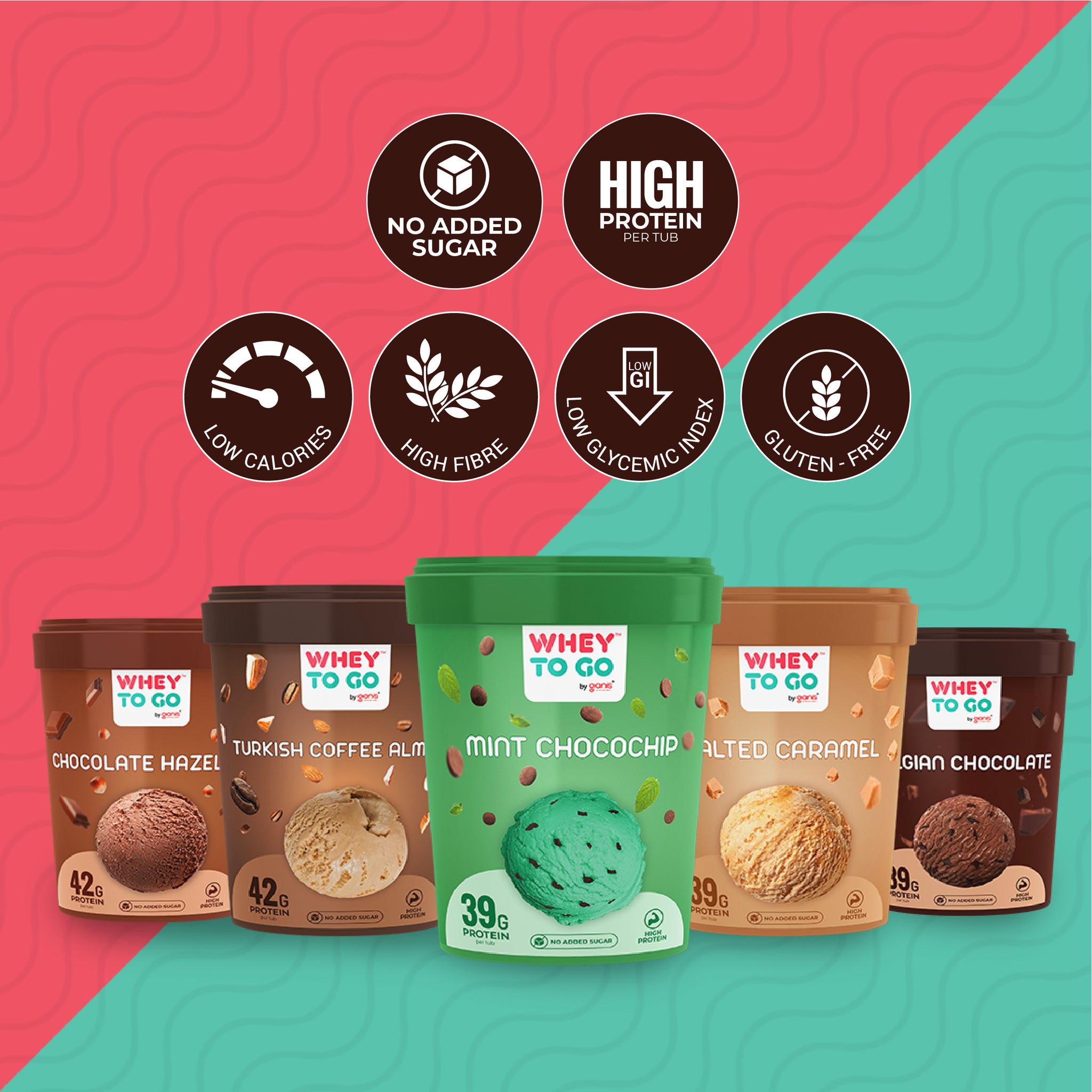 WTG High Protein Assorted Box (Pack of 10 - 125 ML & 500ML)